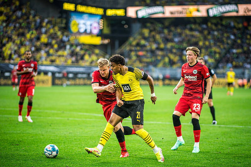 法兰克福中场机器状态神勇,带队连胜的简单介绍 法兰克福中场机器状态神勇,带队连胜的简单介绍