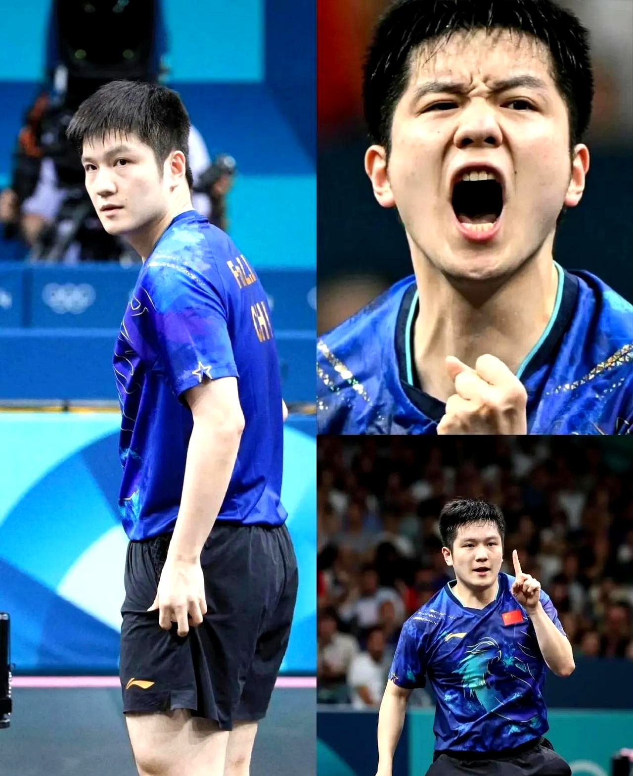 德国队完胜法国队,樊振东高光表现的简单介绍 德国队完胜法国队,樊振东高光表现的简单介绍