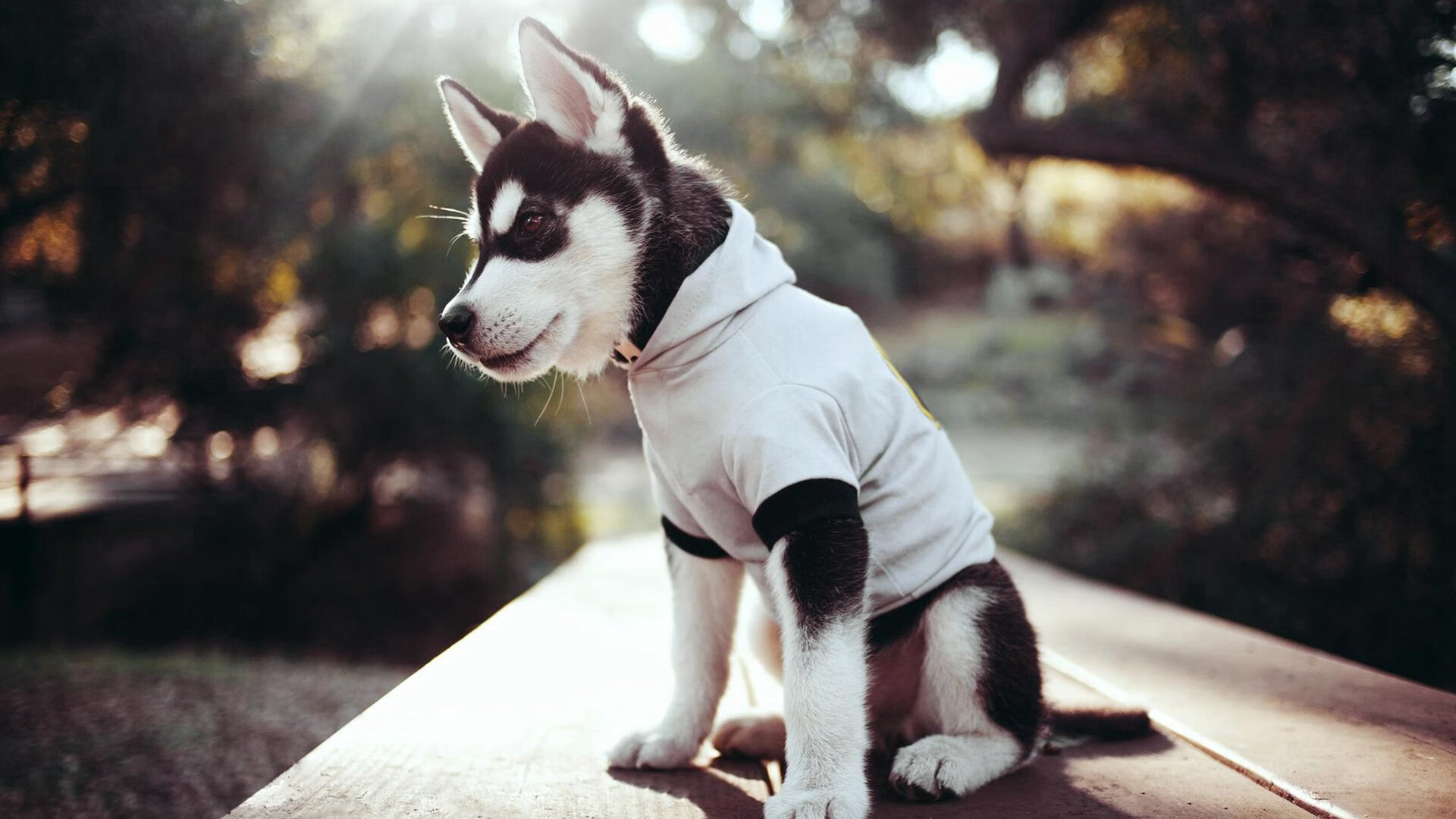 命运的足球场，当埃及遭遇厄瓜多尔，德布劳内是那个唯一的大场面先生？