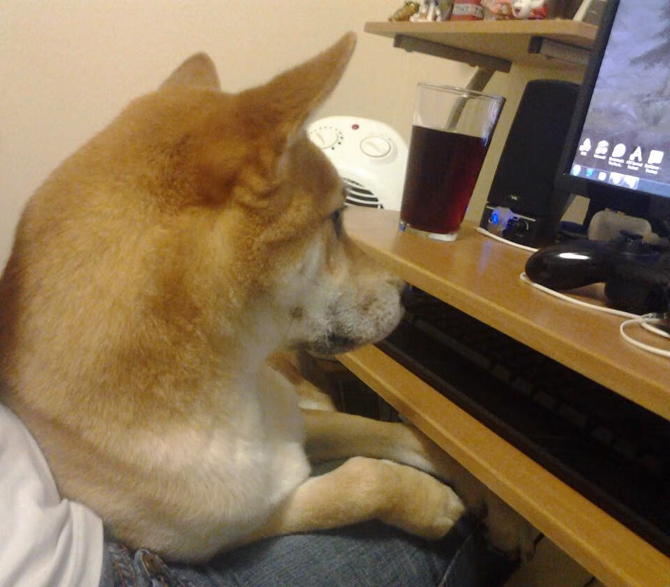 当篮球豪门踢起足球，2026世界杯魔幻焦点战，76人篮足跨界力克上海海港