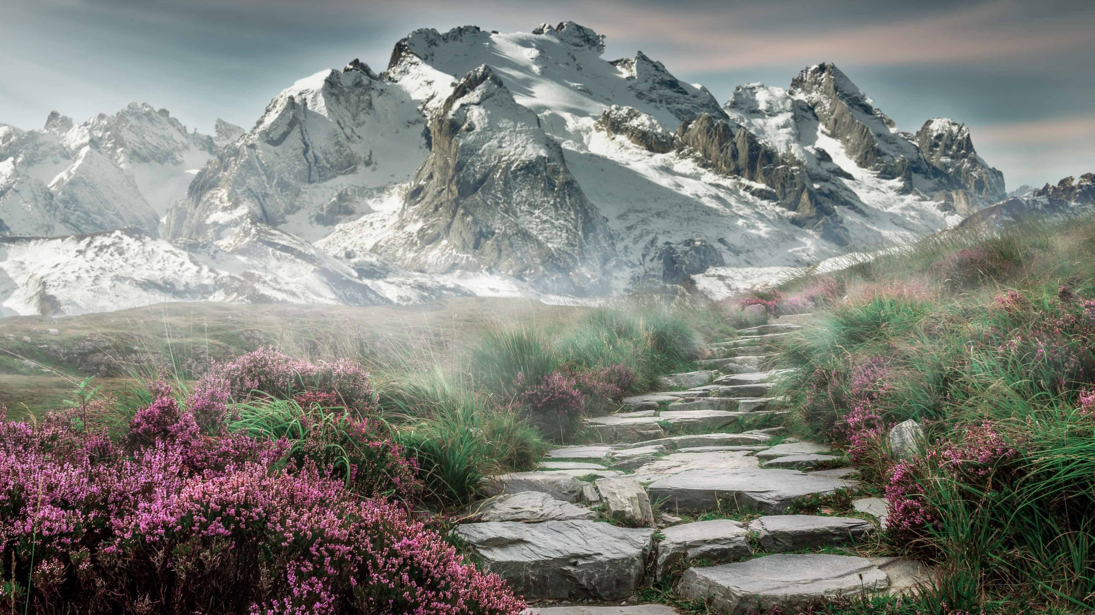 沙漠雄鹰的铁幕，伊拉克的战术绞杀与富安健洋那把出鞘的武士刀