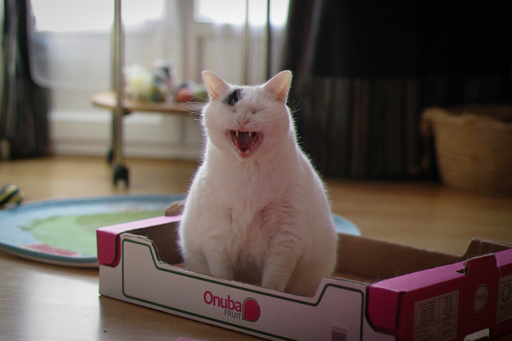 雷火电竞亚洲先驱-泰山压顶时，他化作暴雨，恩比德的西决生死夜与团队的节奏革命