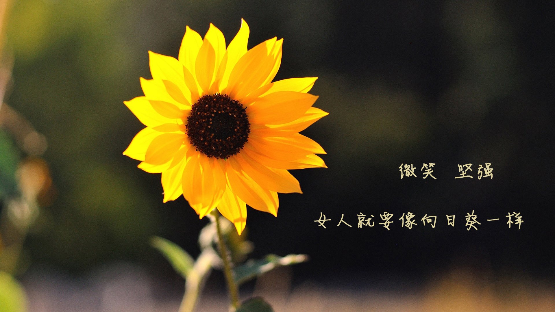 雷火电竞-唯一绝唱，萨拉赫临别赠礼，美国明星联队压哨绝杀雷恩