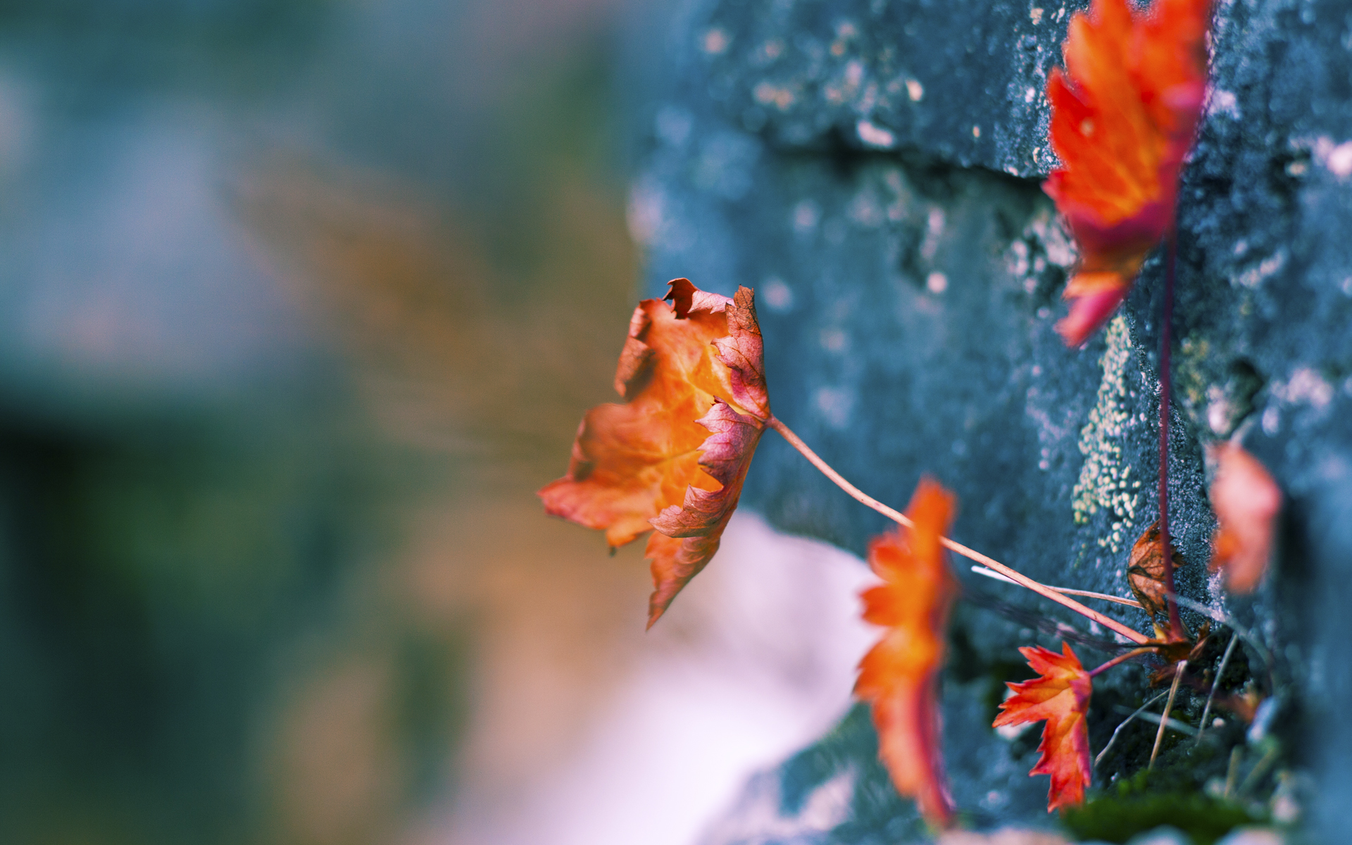 唯一绝唱，萨拉赫临别赠礼，美国明星联队压哨绝杀雷恩