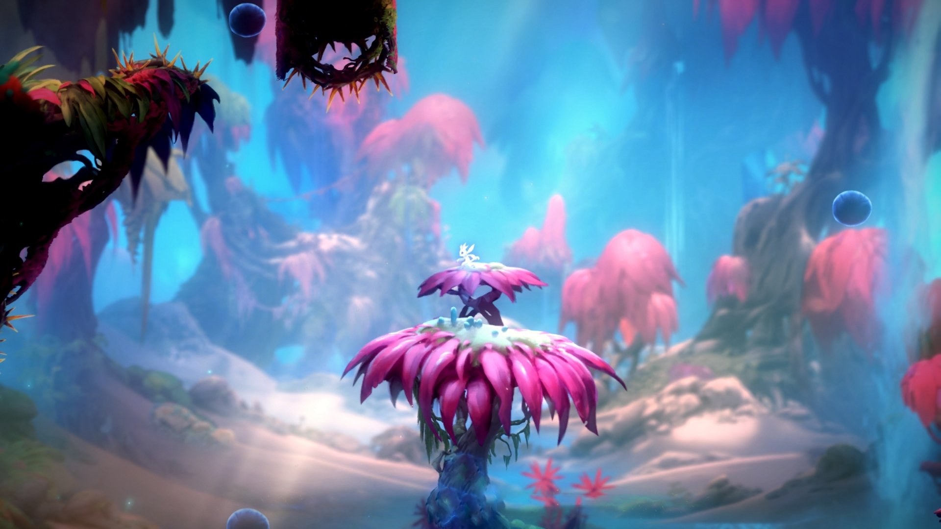 极速与节奏，巴林赛道烽烟起，达拉斯星辰耀夜空