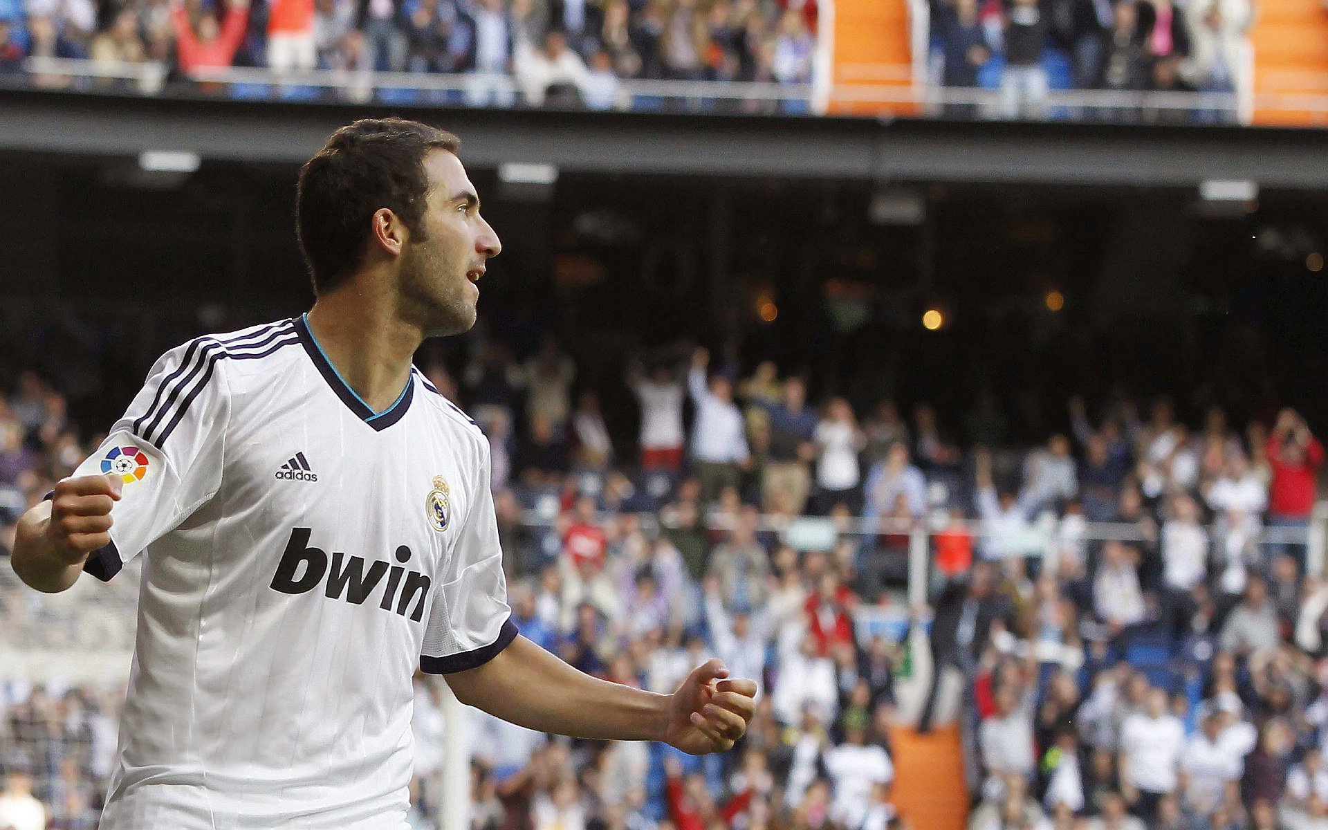 五棵松的寂静，当雄鹿踏过南粤大地